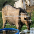 Metal Sheep Farm Fence Wire